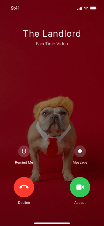 A fake incoming FaceTime Video call from The Landlord, with a bulldog in an orange wig and red tie on the front camera