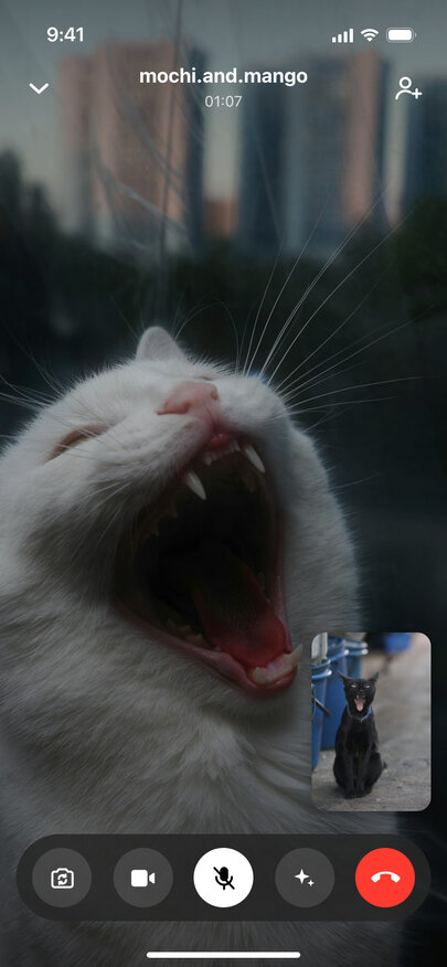 A fake Instagram video call with mochi.and.mango, a white cat yawning on screen, a black cat in the self view and the microphone muted
