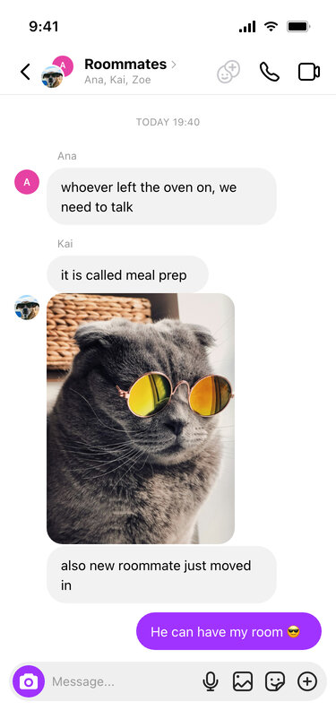 A fake Instagram group chat between roommates with a photo of a cat in sunglasses