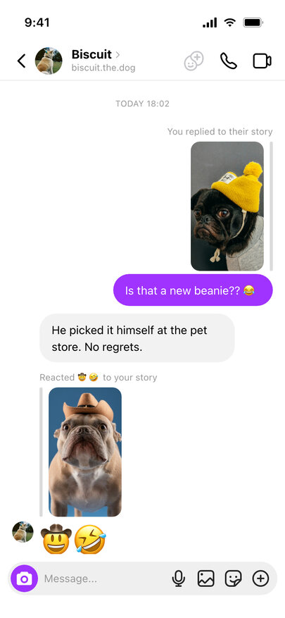 A fake Instagram DM with a reply to a pug in a beanie story and a cowboy emoji reaction to a bulldog story