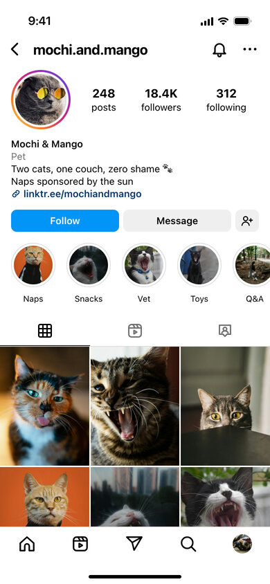 A fake Instagram profile of two cats with a grid of funny pet photos and story highlights