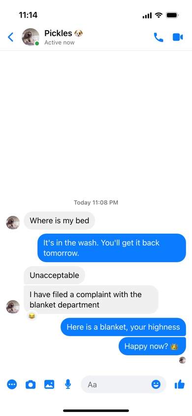 A fake Messenger chat made with the generator