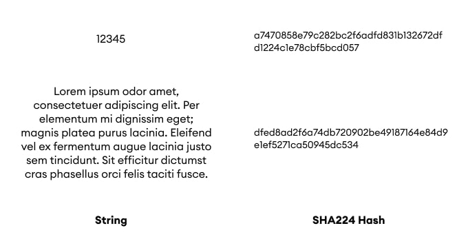 SHA224 Encrypt and Decrypt