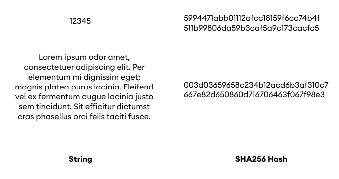 SHA256 Encrypt and Decrypt