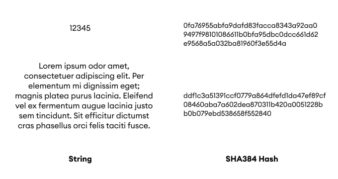 SHA384 Encrypt and Decrypt
