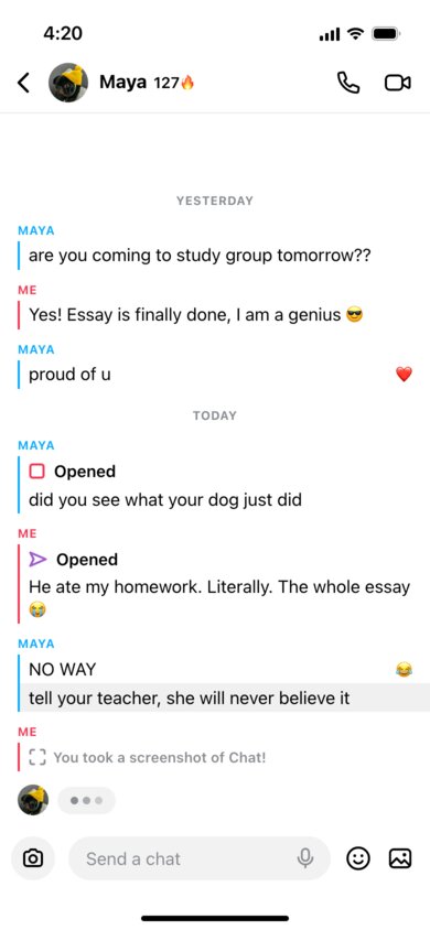 A fake Snapchat chat about a dog eating homework, with opened snaps, a saved message and a screenshot notice