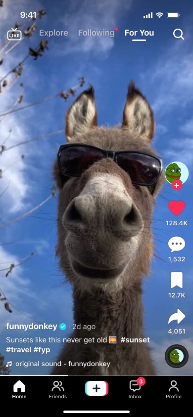 A fake TikTok post of a donkey in sunglasses, made with the TikTok Post Generator