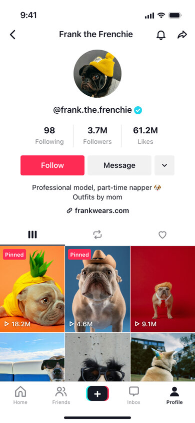 A fake TikTok profile of a dog with millions of likes and a grid of video covers with view counts
