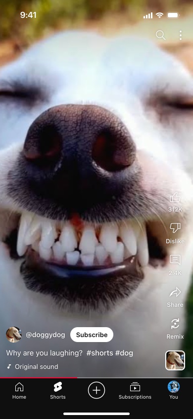 A fake YouTube Short of a grinning dog with a Subscribe button, like and comment counts, the Remix button and the red progress bar